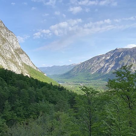 Apartments & Rooms Stare Bohinj Eksteriør billede