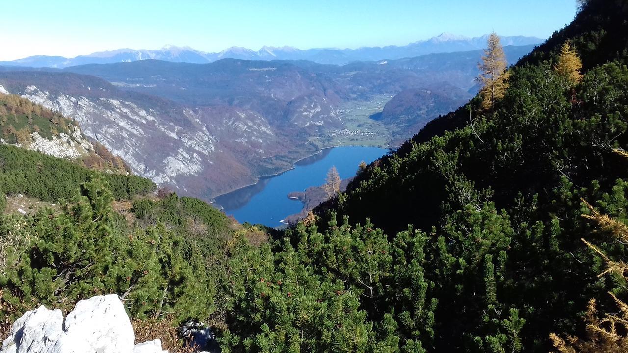 Apartments & Rooms Stare Bohinj Eksteriør billede