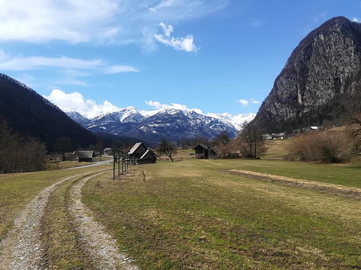 Apartments & Rooms Stare Bohinj Eksteriør billede